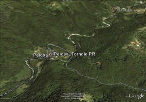 Pelosa Parma